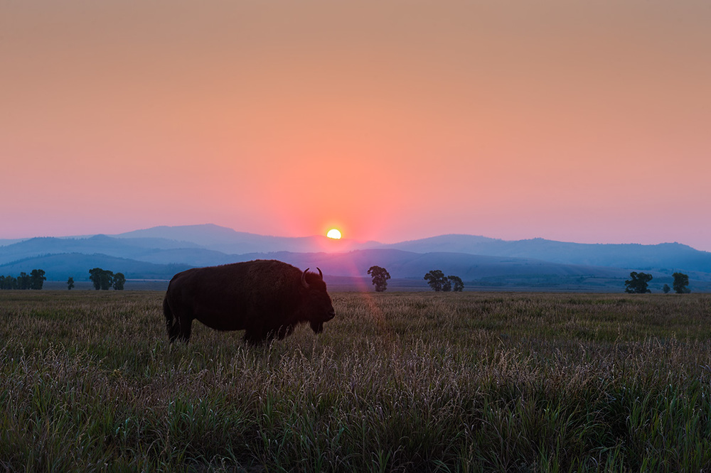 Real Estate Listings Jackson Hole Realty Company Coldwell Banker