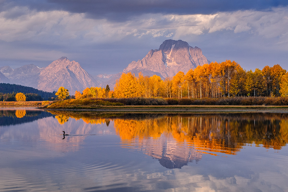 Jackson Hole Property Management Company Apex Real Estate